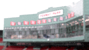 Red Sox Snow GIF by Boston Red Sox