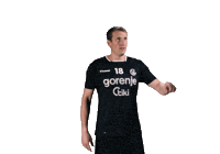 Rkgv Rokometniklubgorenjevelenje Gorenje Velenje Črnorumenokoteno Gorenjevelenje Handball Sticker by RK Gorenje Velenje