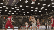 North Dakota State Basketball GIF by NDSU Athletics
