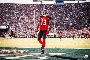 Celebration Bucs GIF by Tampa Bay Buccaneers
