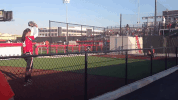 national pro fastpitch GIF by USSSA Pride