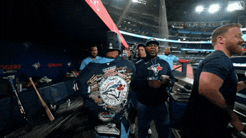 Blue Jays Baseball GIF by Toronto Blue Jays