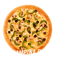 pan pepperoni Sticker by Domino's Pizza