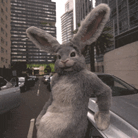 Stars Rabbit GIF by Tubi