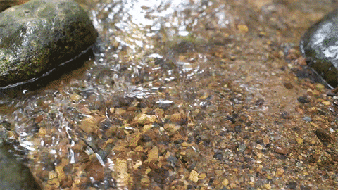 Ulefone giphyupload GIF