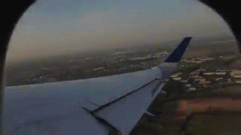 andyfeliciotti giphygifmaker netherlands the netherlands GIF