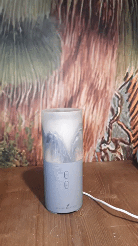 Danielleshobbyshop  GIF