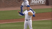 Chicago Cubs GIF by TheDreamTeam 
