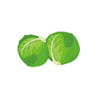 Vegan Cabbage Sticker by PEACHPOPO