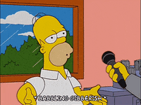 homer simpson interview GIF