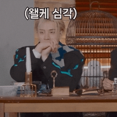 Stray Kids Chris GIF