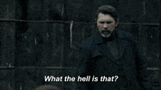 Fox Tv GIF by ProdigalSonFox