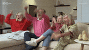 Celebrate Australian Tv GIF by Gogglebox Australia