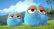 told you ok GIF by Angry Birds