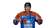 unisflyers goal hockey eagles flyers Sticker