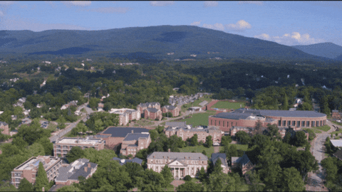 Summer City GIF by Roanoke College