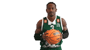 Basketball Hoops Sticker by Basket_fi