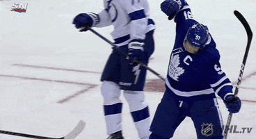 Celebrate Ice Hockey GIF by NHL