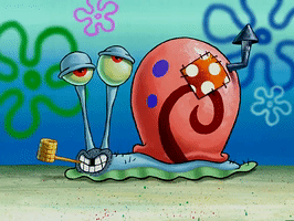 season 3 the great snail race GIF by SpongeBob SquarePants