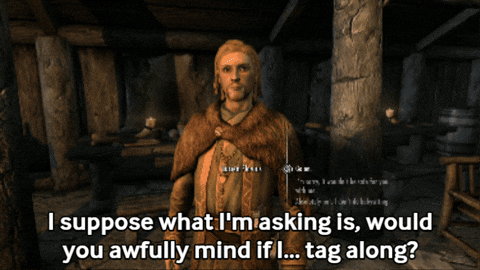 Elder Scrolls Npc GIF by Fire Mountain Productions
