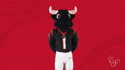 Nfl Mascot GIF by Houston Texans