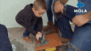 Art Living GIF by MolaTV