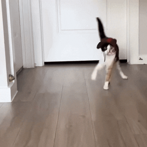 Wobblycat GIF