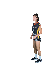 Volley Sticker by NUCVolleyball