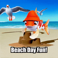 Summer Beach GIF by TheConfishius