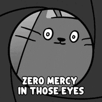Side Eye Tough Crowd GIF by MESA My Emotional Support Animal