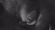 can't sleep stakeout on dope street GIF by Warner Archive