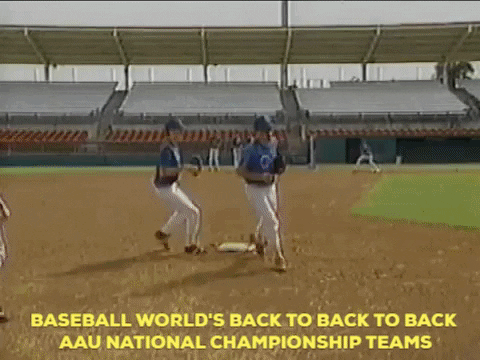 ASchoen0812 giphygifmaker baseball domination fundamentals GIF