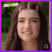 Dixie Snaporiginals GIF by Snap