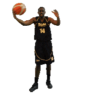 Houilles Sticker by SOH Basketball