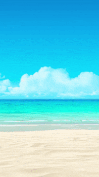 cat looking good GIF by FUN WITH FRIDAY