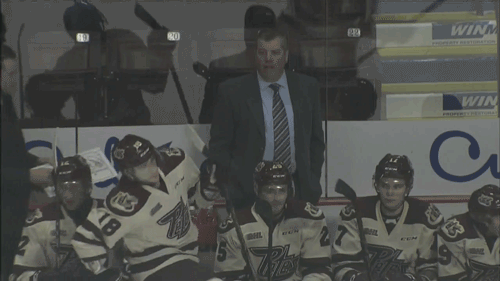 coach peterborough GIF