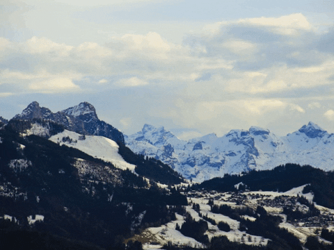 FranchiseCHECK_de giphygifmaker work business franchise GIF