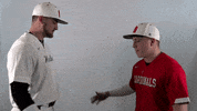Wheelingu GIF by WU Cardinals