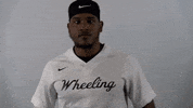 Wheelingu GIF by WU Cardinals