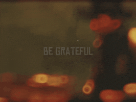 Red Dead Redemption 2 Wisdom GIF
