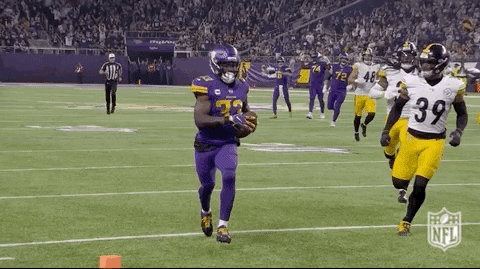 Minnesota Vikings Football GIF by NFL