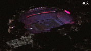 University Of North Carolina Football GIF by UNC Tar Heels