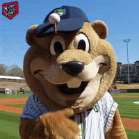 high five chopper GIF by Gwinnett Stripers