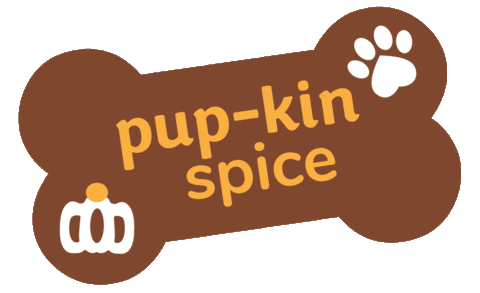 Pumpkin Spice Fall Sticker by Wüfers