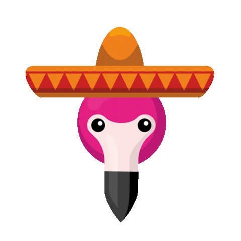Fun Mexico Sticker by lastminute.com