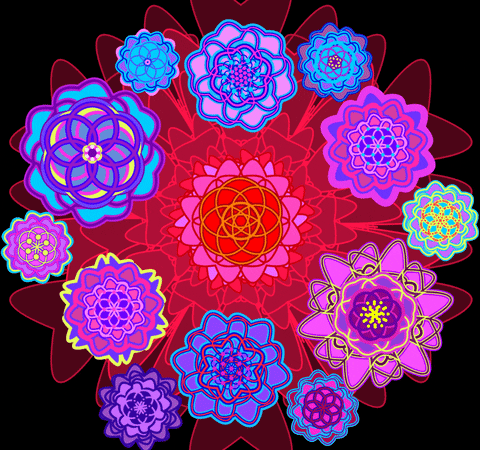 marksimsdad0 giphyupload GIF