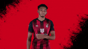 Football Shrug GIF by AFC Bournemouth
