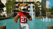 houstoncougars houston sasha gocoogs shasta GIF