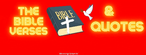 iantedder giphygifmaker giphyattribution blessingsnetwork GIF