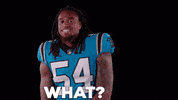 National Football League Reaction GIF by Carolina Panthers